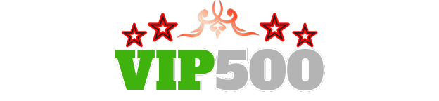 Logo Vip500